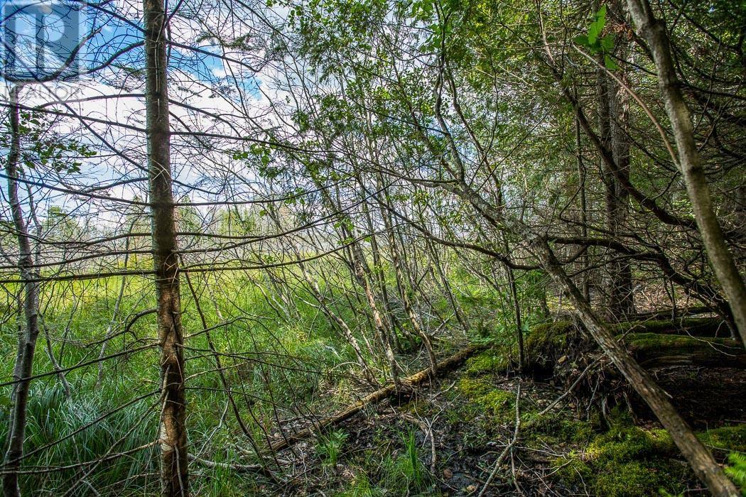 Lot 28 Richmond Bay Rd, Hilton Township, St. Joseph Island, Ontario  P0R 1G0 - Photo 19 - SM252930