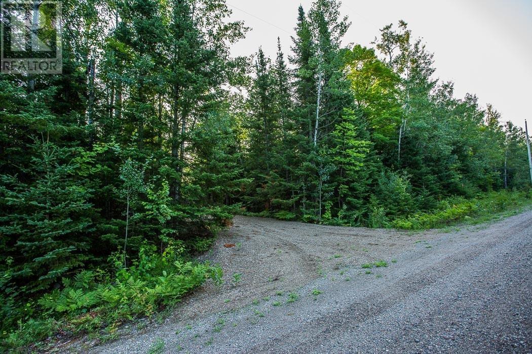 Lot 28 Richmond Bay Rd, Hilton Township, St. Joseph Island, Ontario  P0R 1G0 - Photo 9 - SM252930