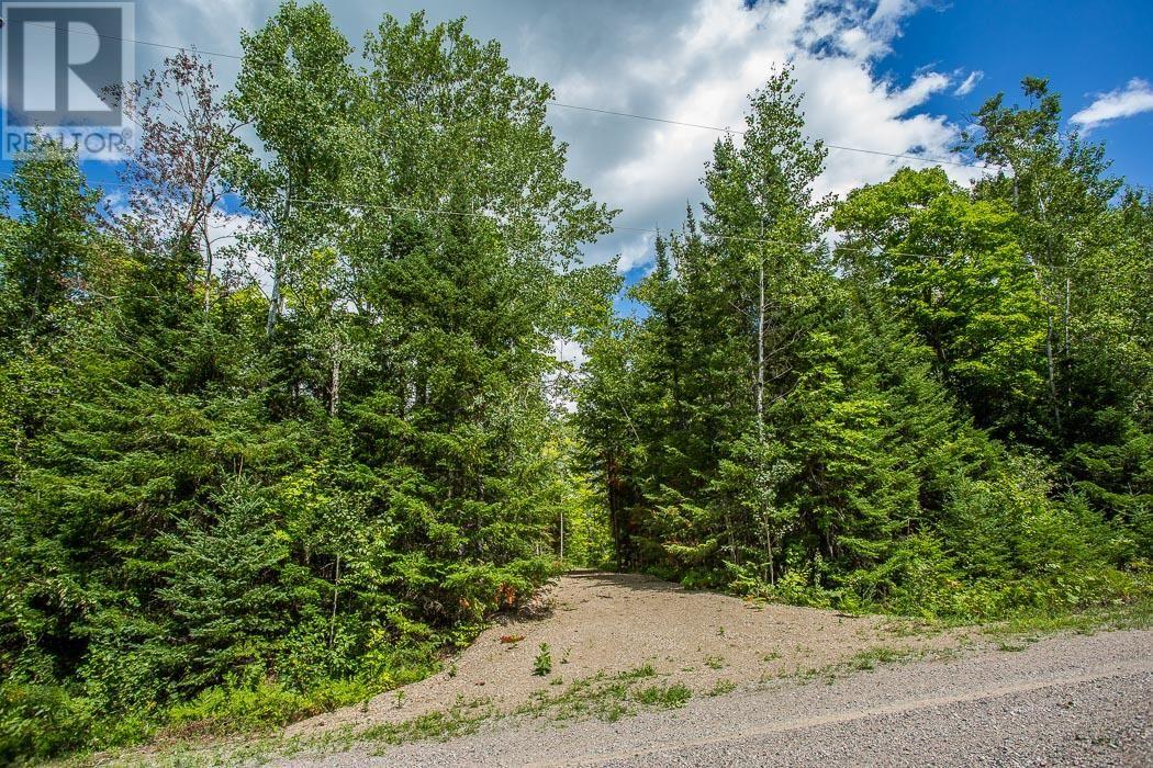 Lot 28 Richmond Bay Rd, Hilton Township, St. Joseph Island, Ontario  P0R 1G0 - Photo 6 - SM252930
