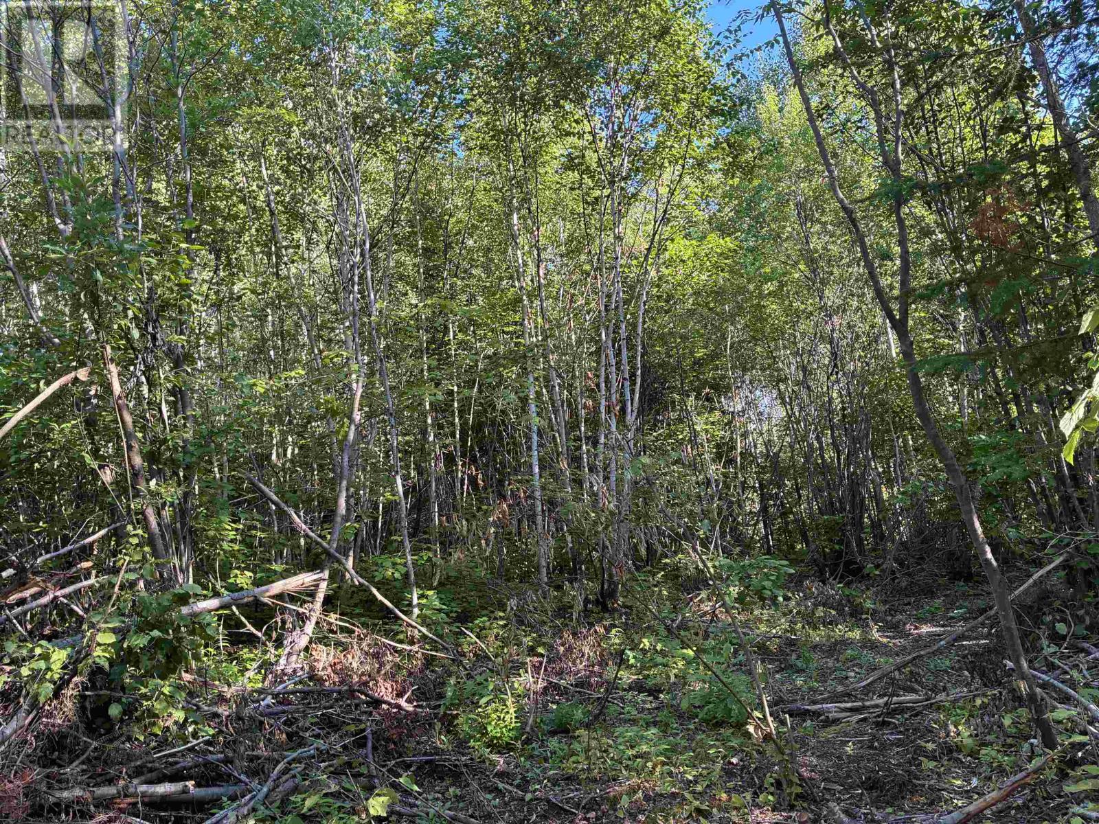 241 Cloud Lake Rd, Neebing, Ontario  P7L 0A8 - Photo 3 - TB2602540