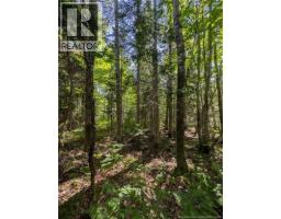 28 acres rue des Fondateurs, Petit-Paquetville, New Brunswick