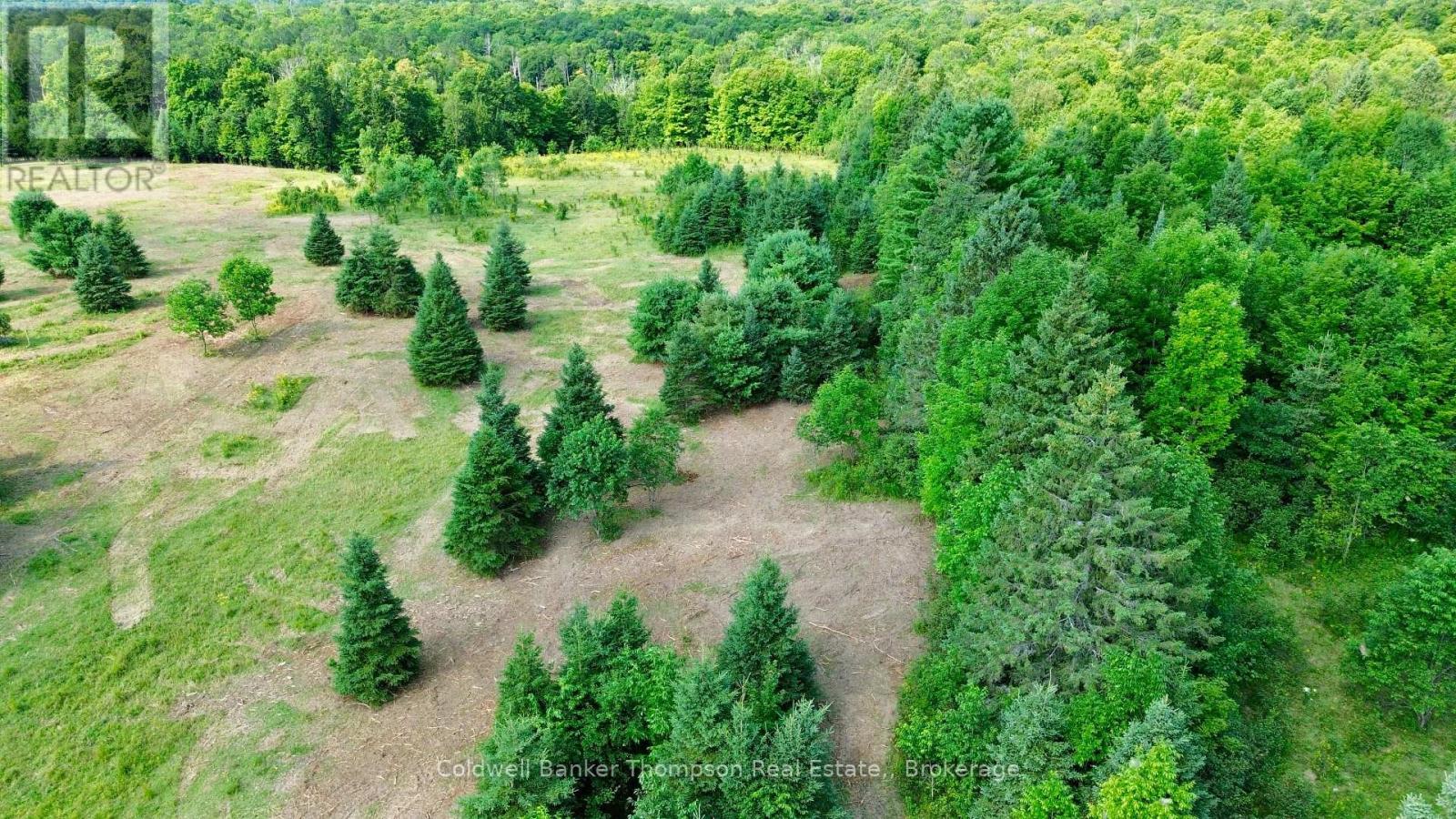12899 522 Highway W, Parry Sound Remote Area, Ontario  P0H 1S0 - Photo 22 - X13717404
