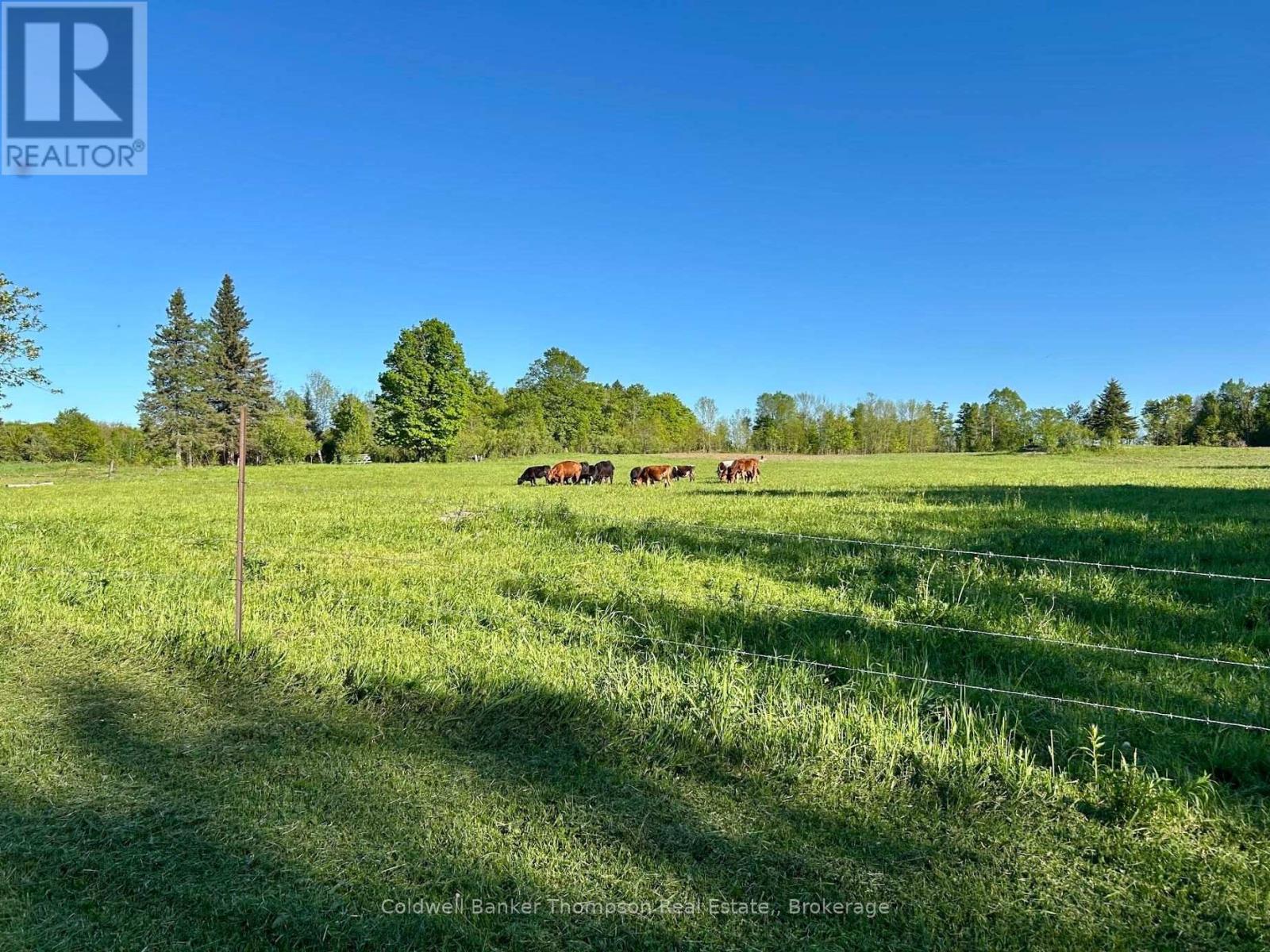 12899 522 Highway W, Parry Sound Remote Area, Ontario  P0H 1S0 - Photo 32 - X13717404