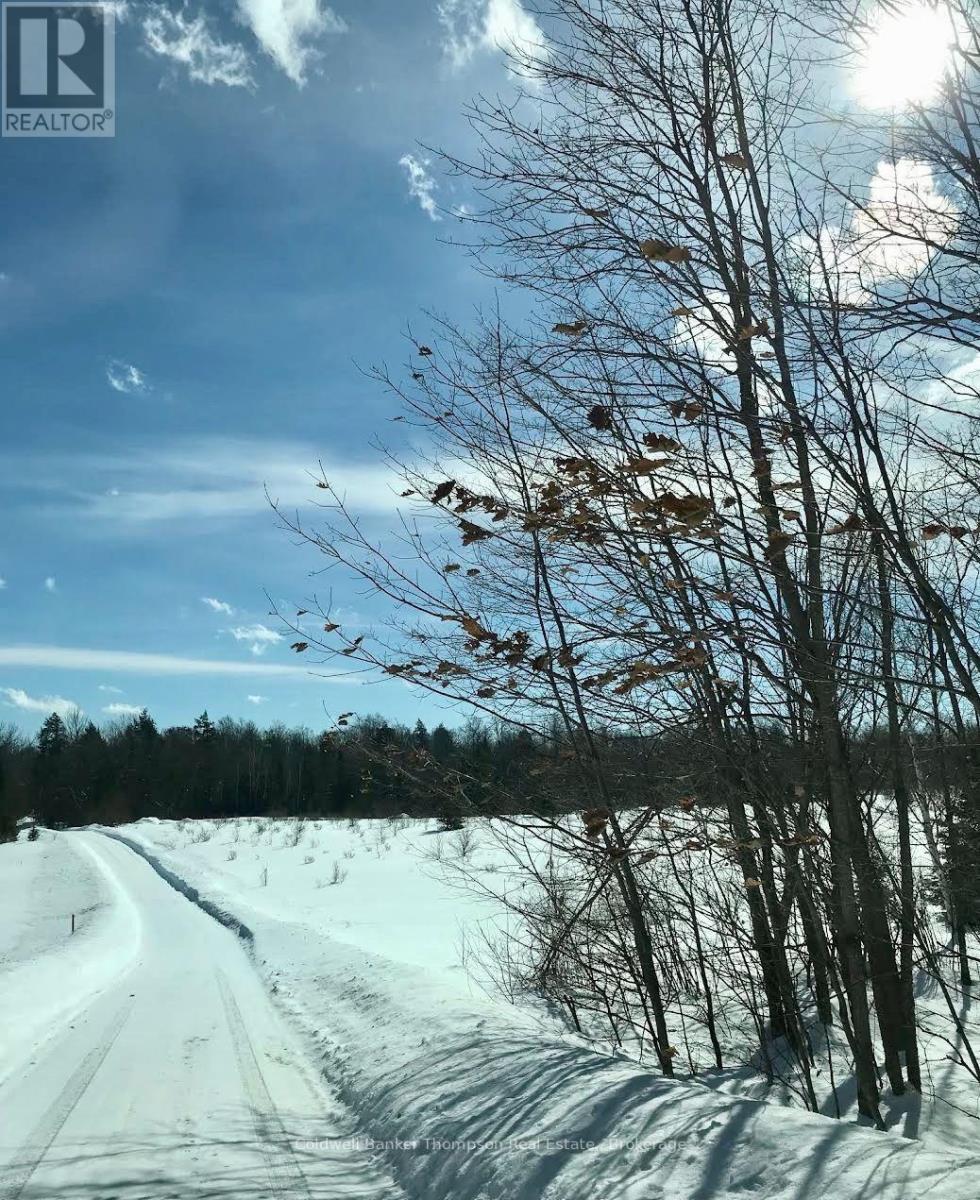 12899 522 Highway W, Parry Sound Remote Area, Ontario  P0H 1S0 - Photo 43 - X13717404
