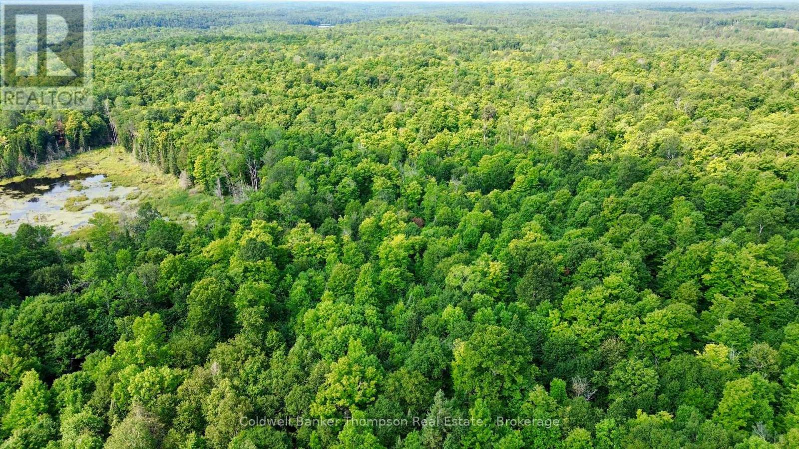 Lot 13 Hwy 522 Highway W, Parry Sound Remote Area, Ontario P0H 1S0 - Photo 10 - X13717454
