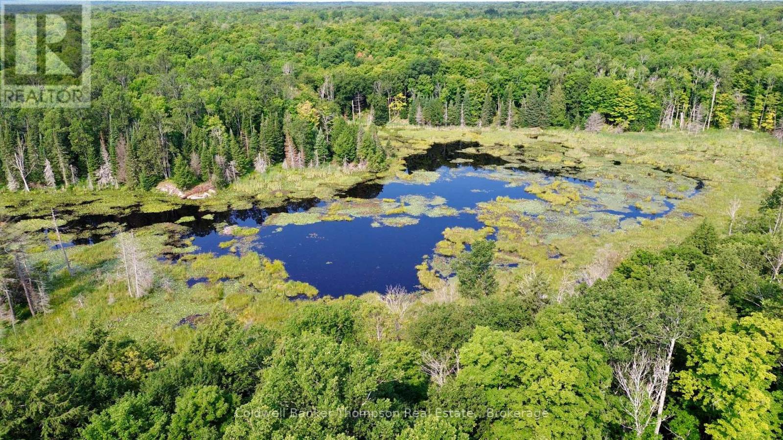 Lot 13 Hwy 522 Highway W, Parry Sound Remote Area, Ontario P0H 1S0 - Photo 11 - X13717454