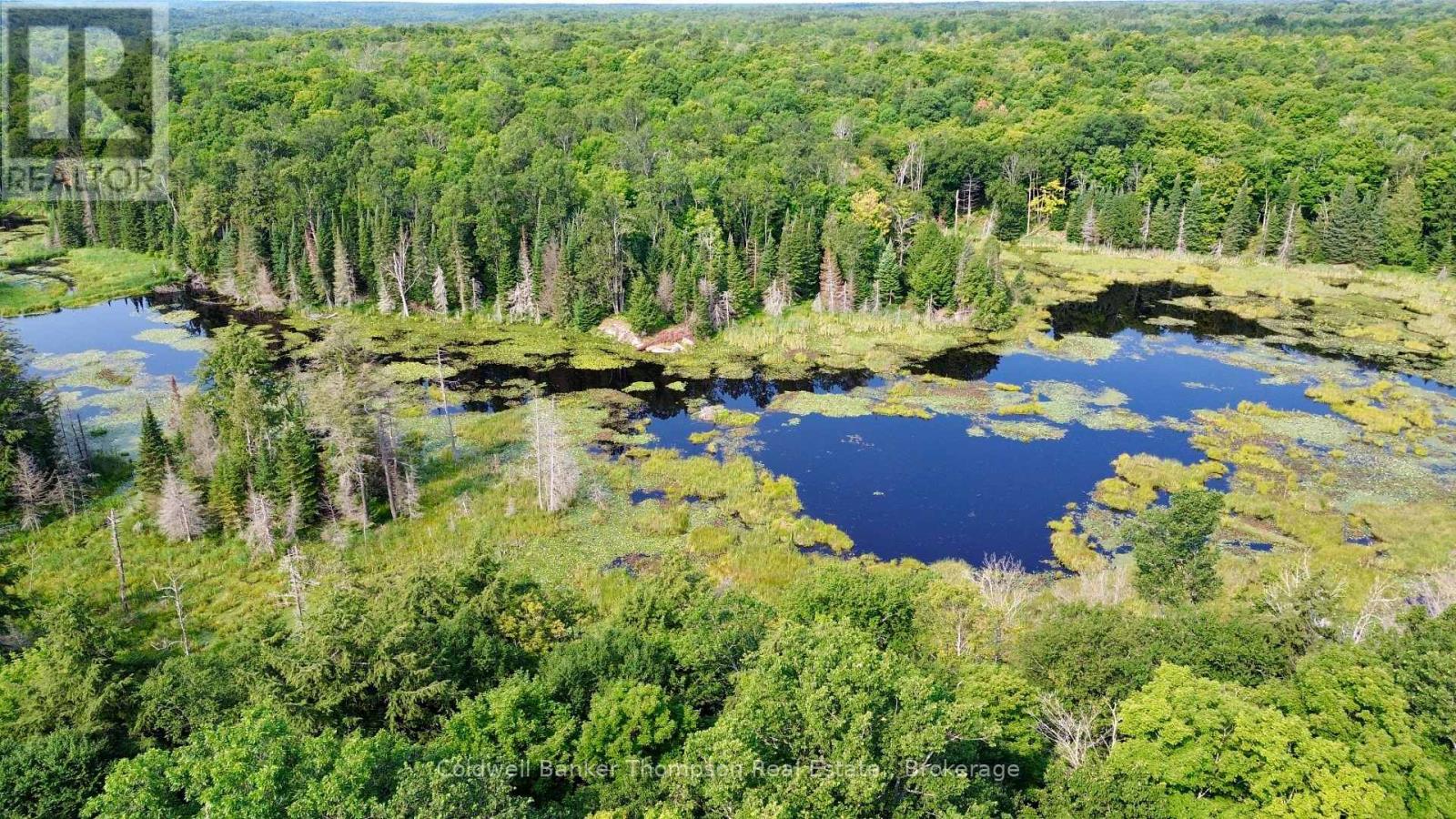 Lot 13 Hwy 522 Highway W, Parry Sound Remote Area, Ontario P0H 1S0 - Photo 12 - X13717454