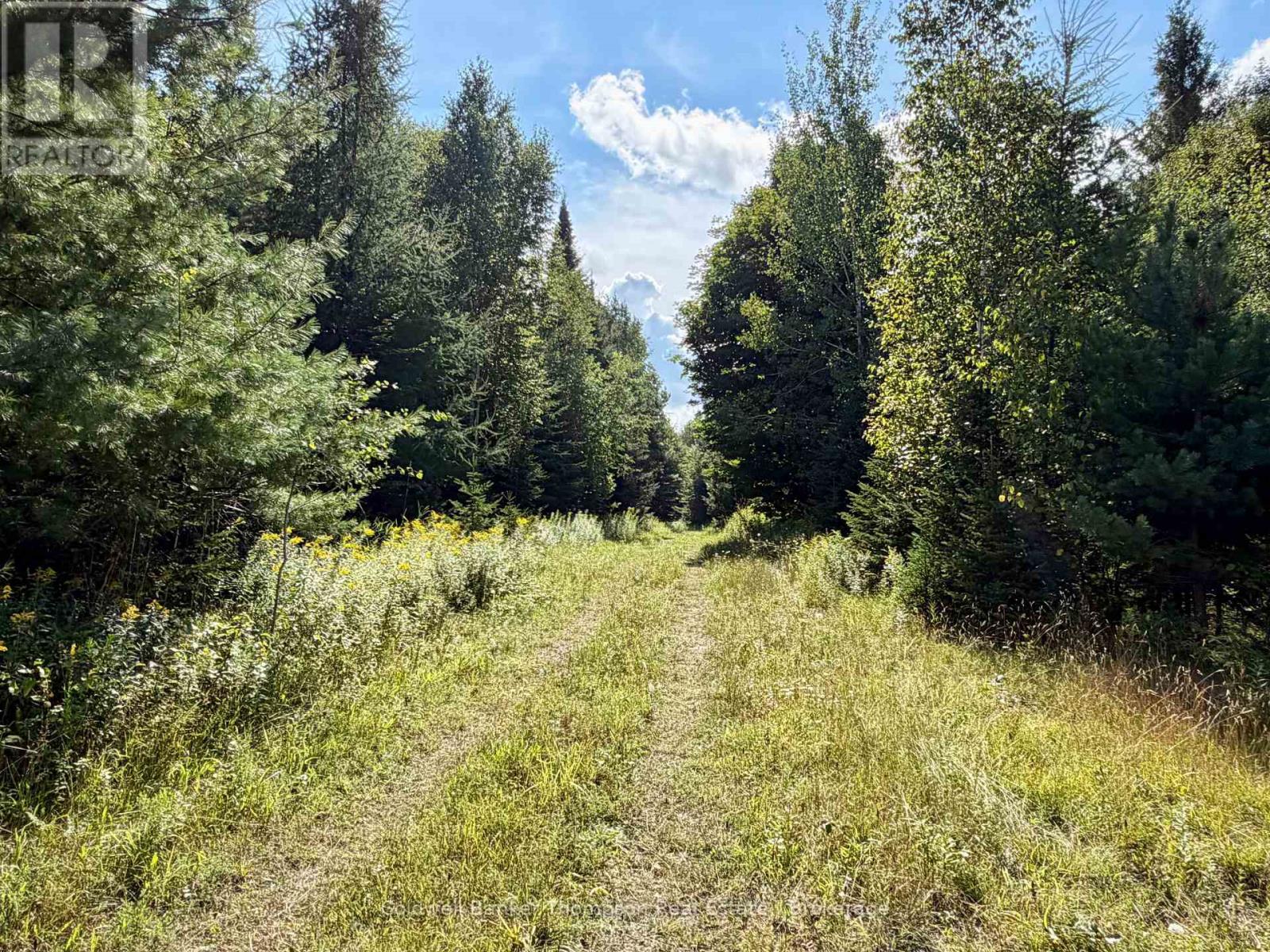 Lot 13 Hwy 522 Highway W, Parry Sound Remote Area, Ontario P0H 1S0 - Photo 15 - X13717454