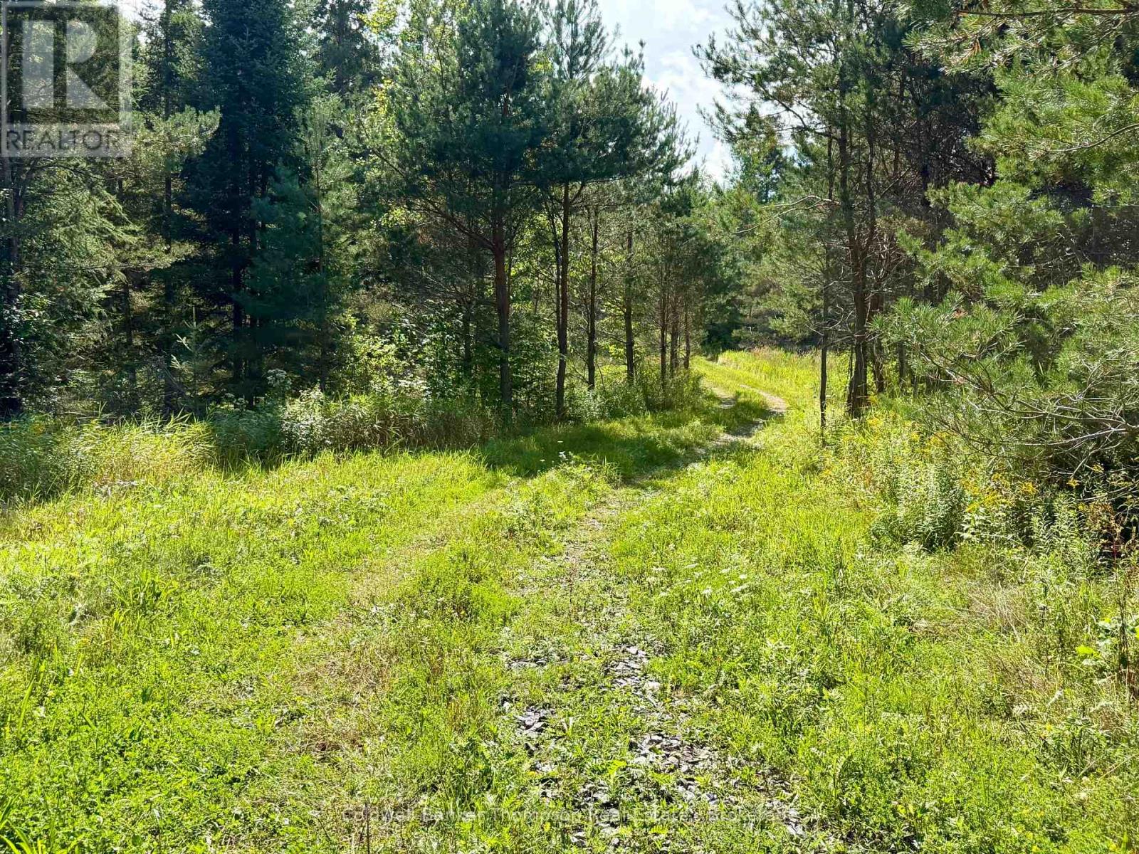 Lot 13 Hwy 522 Highway W, Parry Sound Remote Area, Ontario P0H 1S0 - Photo 16 - X13717454