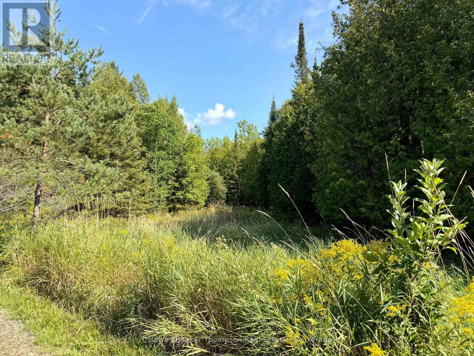 Lot 13 Hwy 522 Highway W, Parry Sound Remote Area, Ontario P0H 1S0 - Photo 17 - X13717454