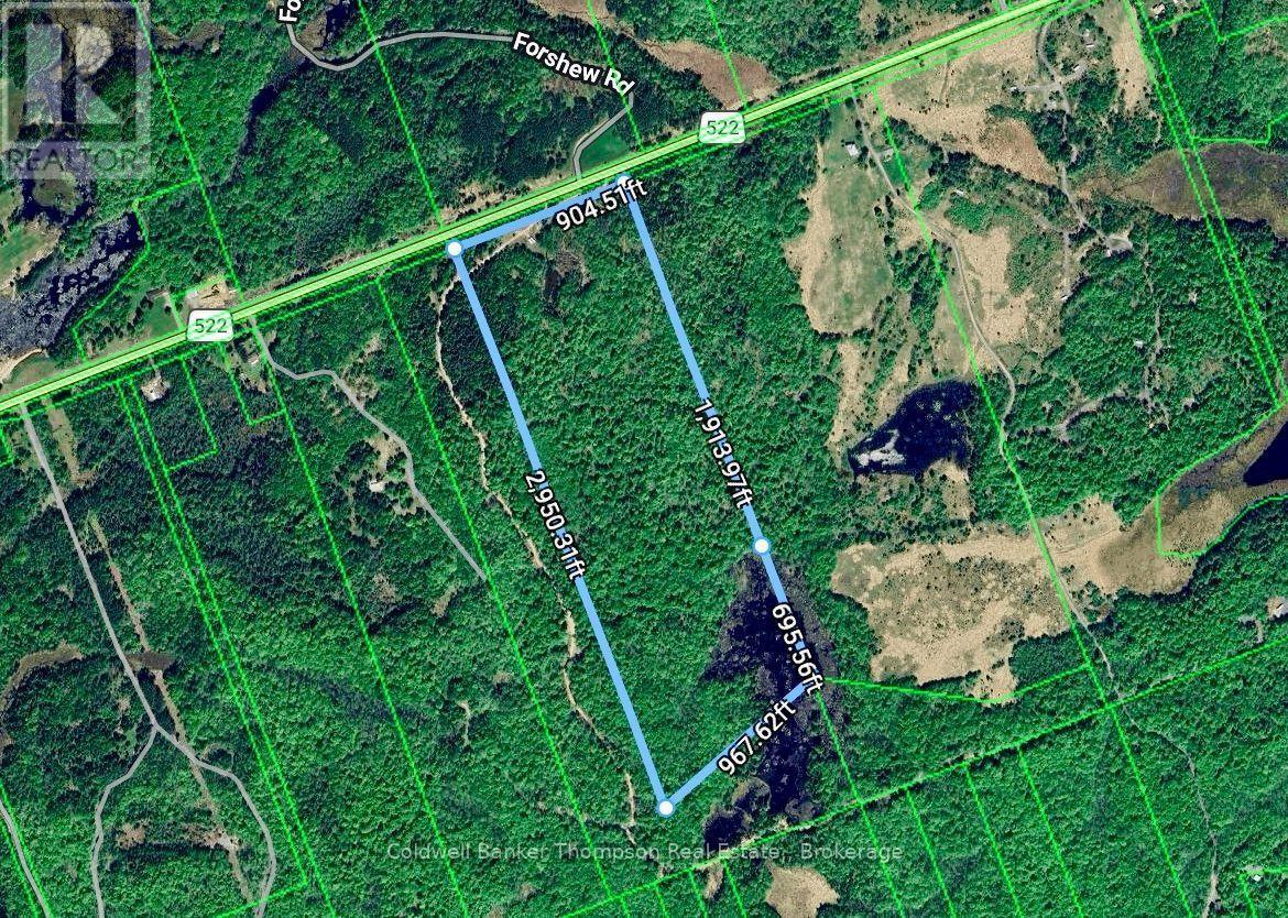 Lot 13 Hwy 522 Highway W, Parry Sound Remote Area, Ontario P0H 1S0 - Photo 20 - X13717454