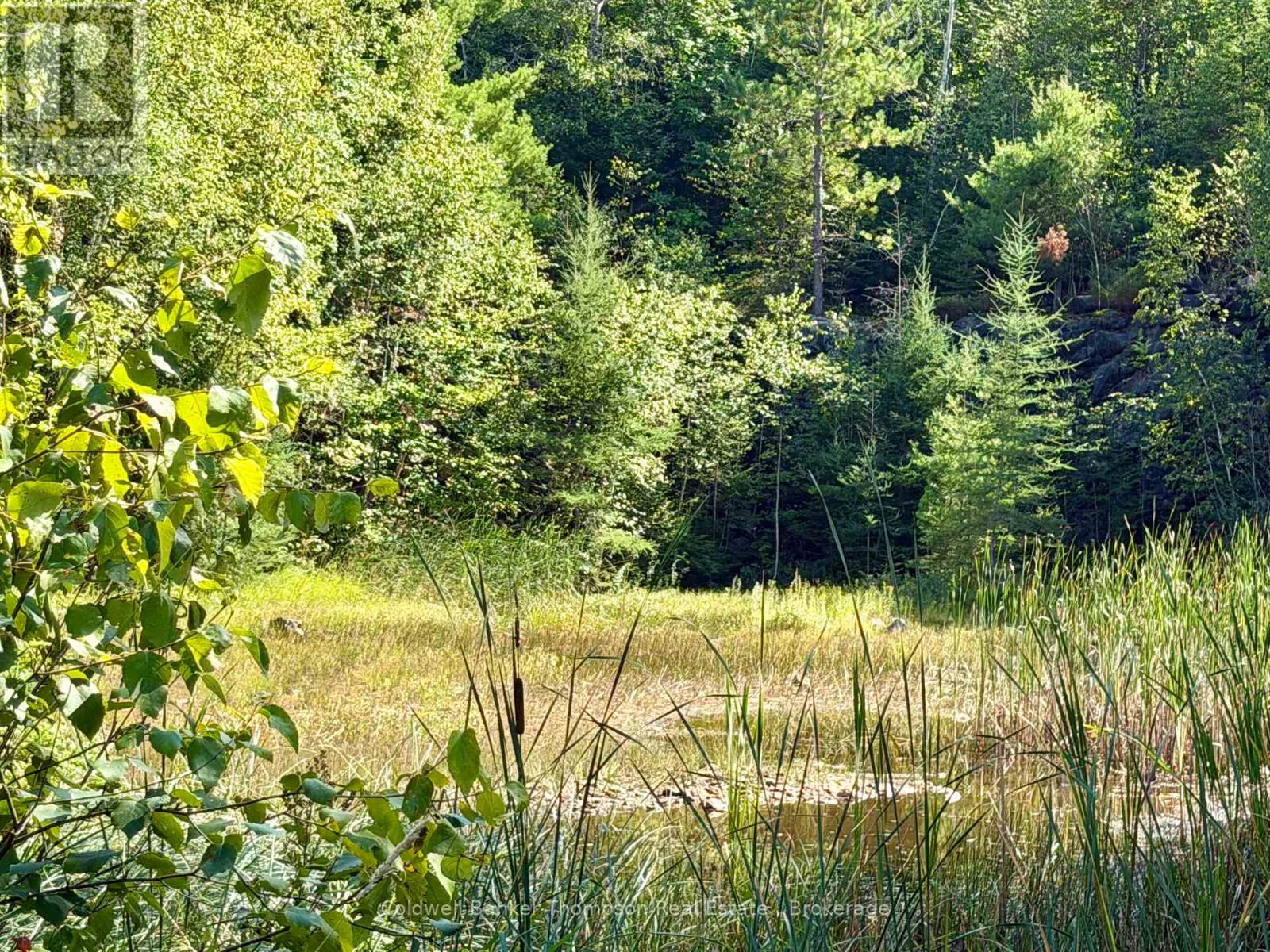 Lot 13 Hwy 522 Highway W, Parry Sound Remote Area, Ontario P0H 1S0 - Photo 4 - X13717454