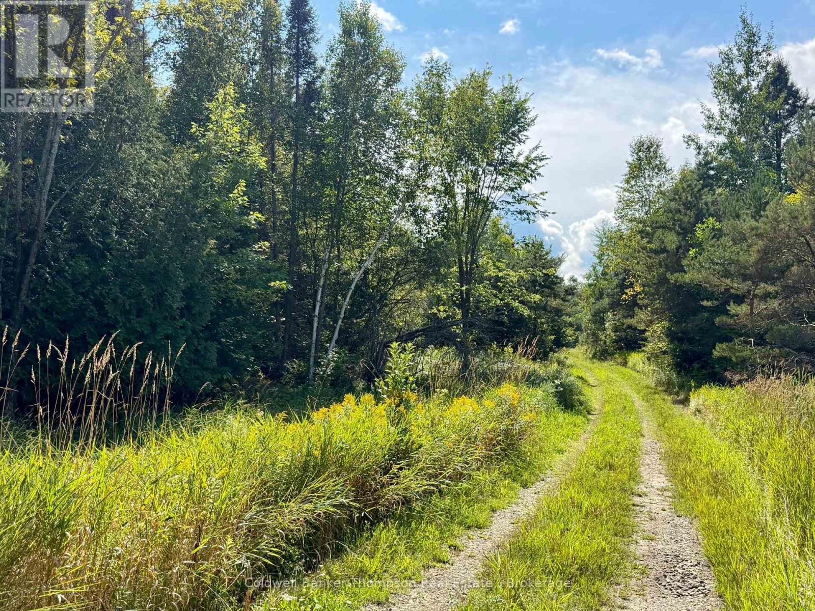 Lot 13 Hwy 522 Highway W, Parry Sound Remote Area, Ontario P0H 1S0 - Photo 5 - X13717454