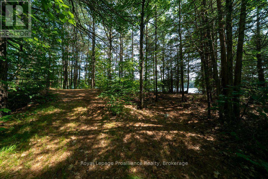0 Bebris Rd Lot 15 Road, Frontenac, Ontario  K0K 1B0 - Photo 22 - X13708162
