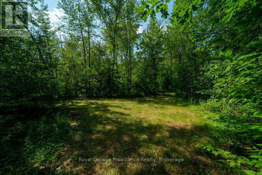 0 Bebris Rd Lot 15 Road, Frontenac, Ontario  K0K 1B0 - Photo 31 - X13708162