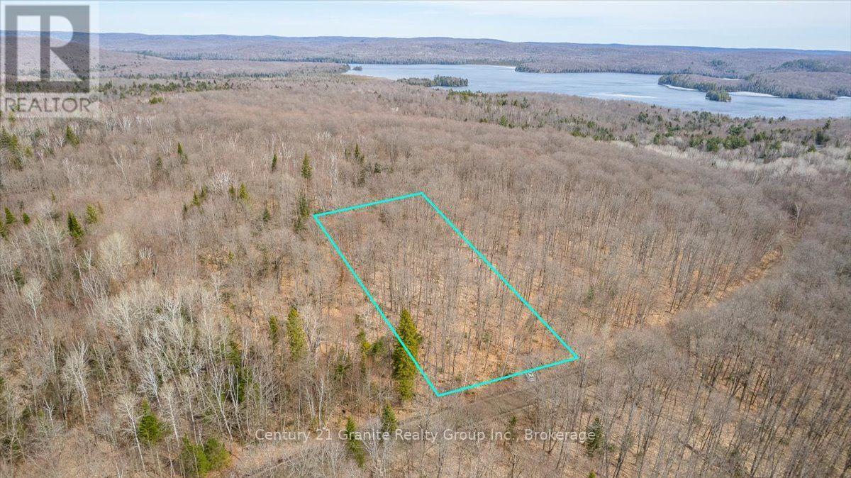 99 FOREST VIEW ROAD, Bancroft, Ontario