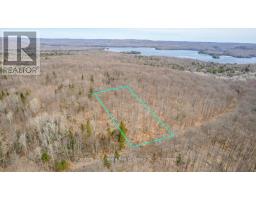 99 FOREST VIEW ROAD, Bancroft, Ontario