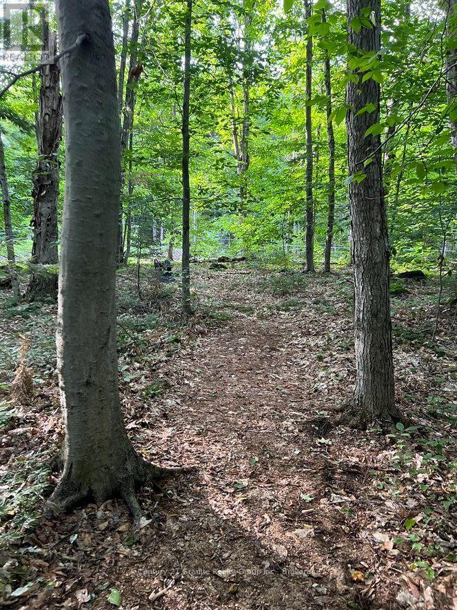 99 Forest View Road, Bancroft (Bancroft Ward), Ontario  K0L 1C0 - Photo 14 - X13601290