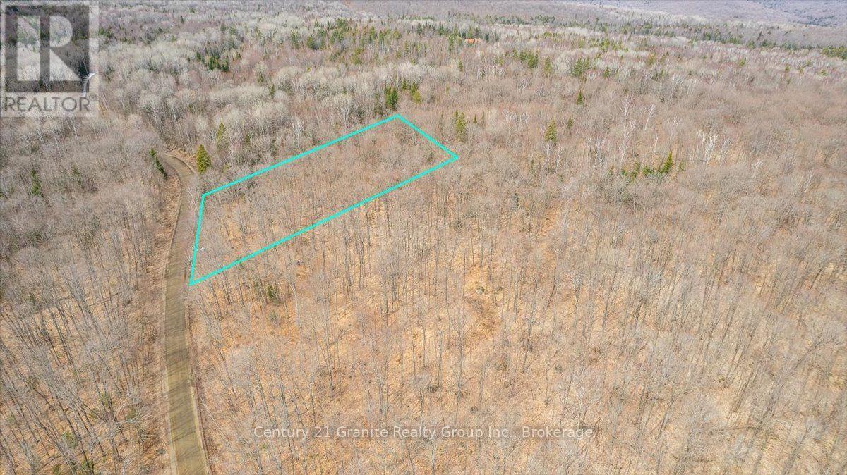 99 Forest View Road, Bancroft (Bancroft Ward), Ontario  K0L 1C0 - Photo 3 - X13601290