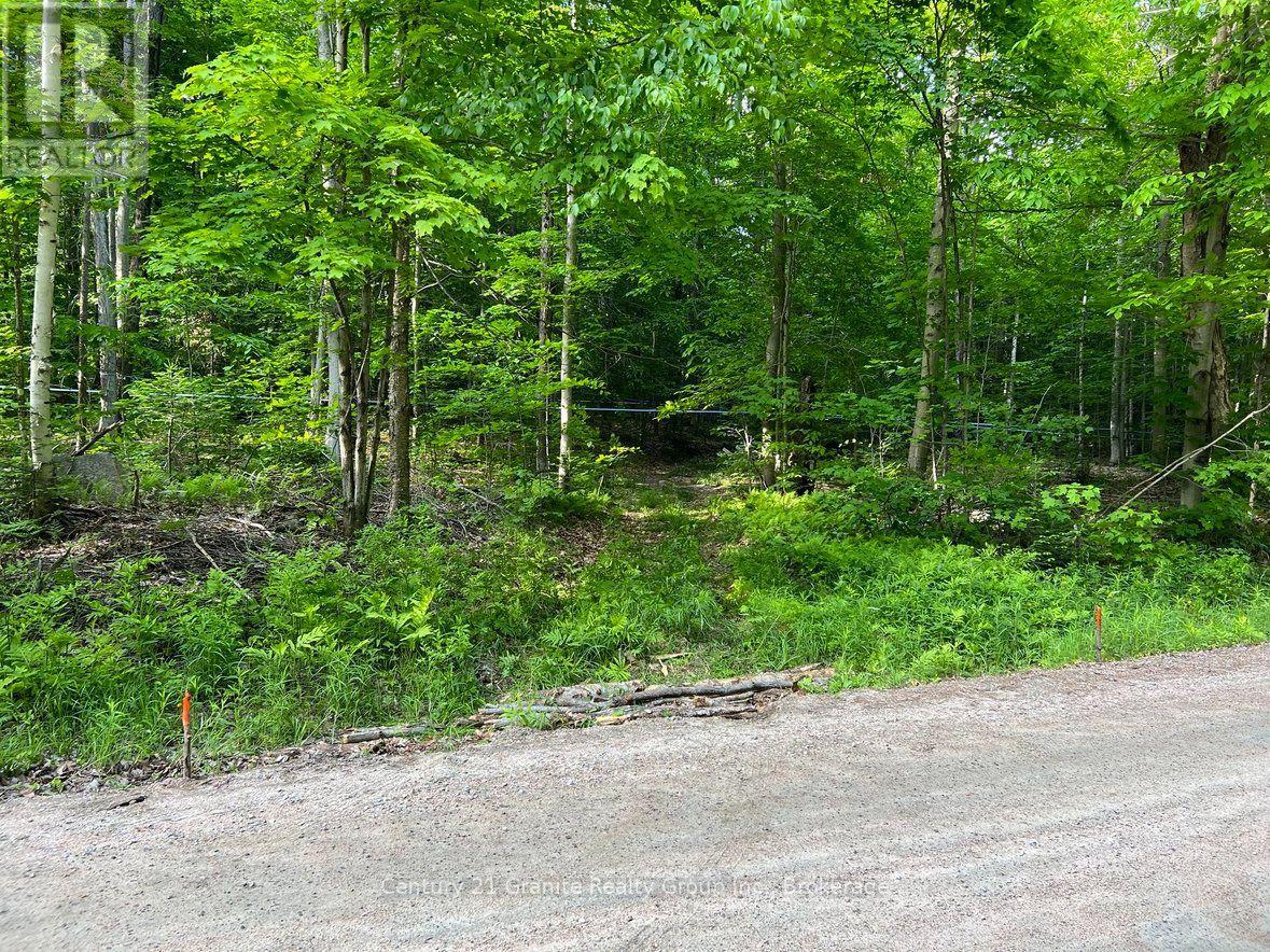 99 Forest View Road, Bancroft (Bancroft Ward), Ontario  K0L 1C0 - Photo 23 - X13601290