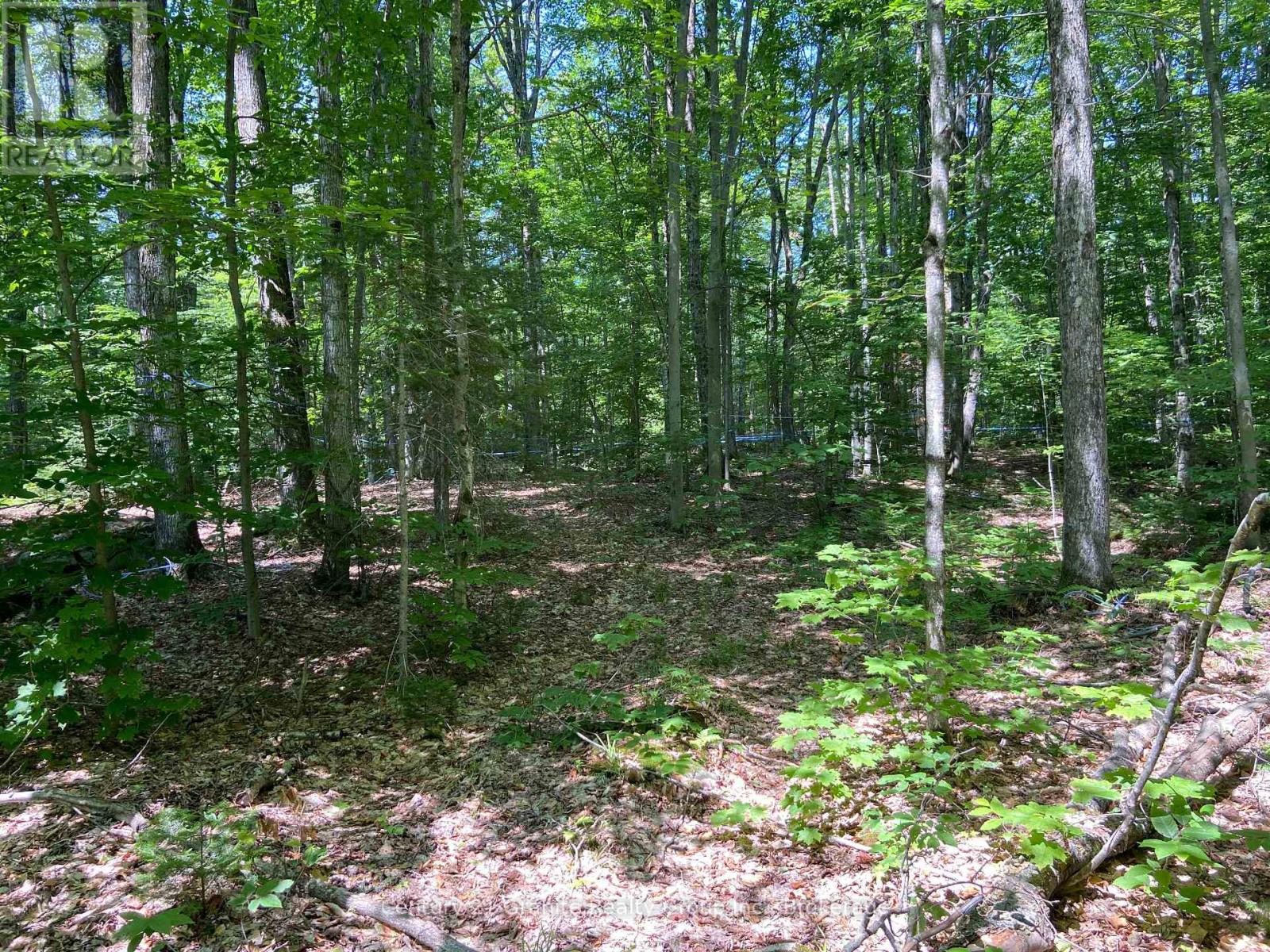 99 Forest View Road, Bancroft (Bancroft Ward), Ontario  K0L 1C0 - Photo 26 - X13601290