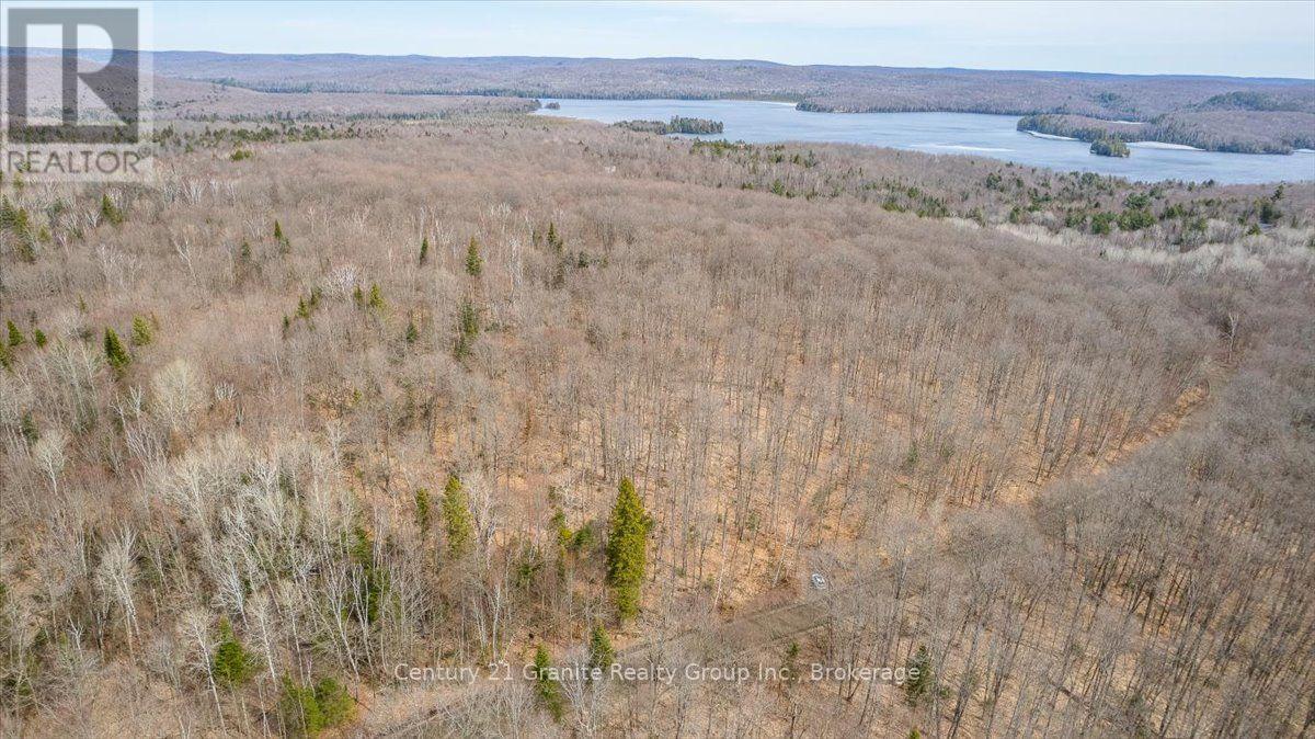 99 Forest View Road, Bancroft (Bancroft Ward), Ontario  K0L 1C0 - Photo 28 - X13601290