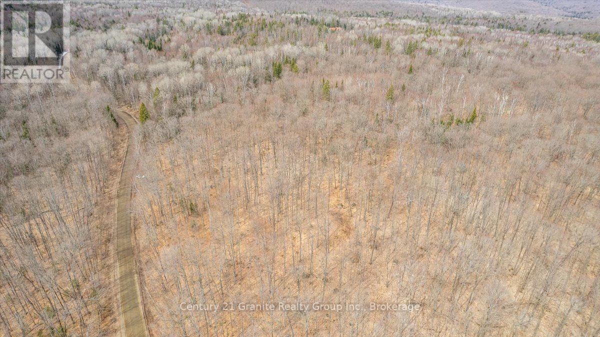 99 Forest View Road, Bancroft (Bancroft Ward), Ontario  K0L 1C0 - Photo 30 - X13601290