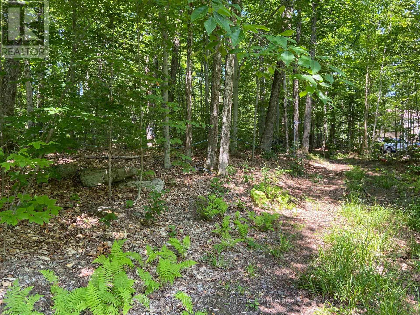 99 Forest View Road, Bancroft (Bancroft Ward), Ontario  K0L 1C0 - Photo 27 - X13601290