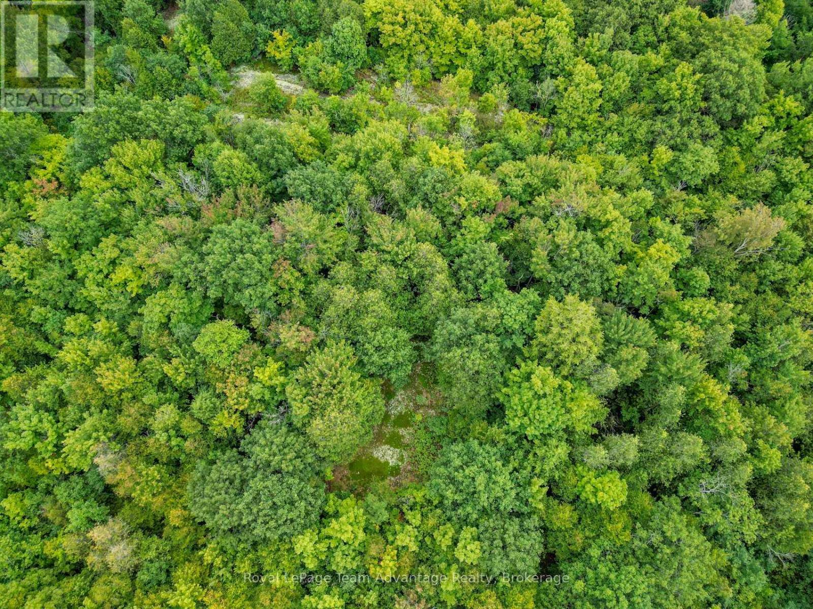 0 Spring Hill Road, Mckellar, Ontario  P0G 1G0 - Photo 16 - X13717700