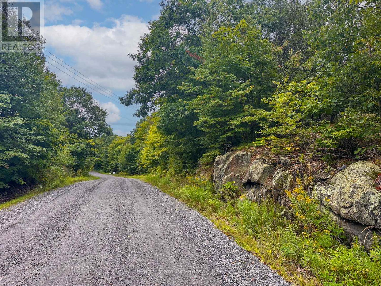 0 Spring Hill Road, Mckellar, Ontario  P0G 1G0 - Photo 6 - X13717700