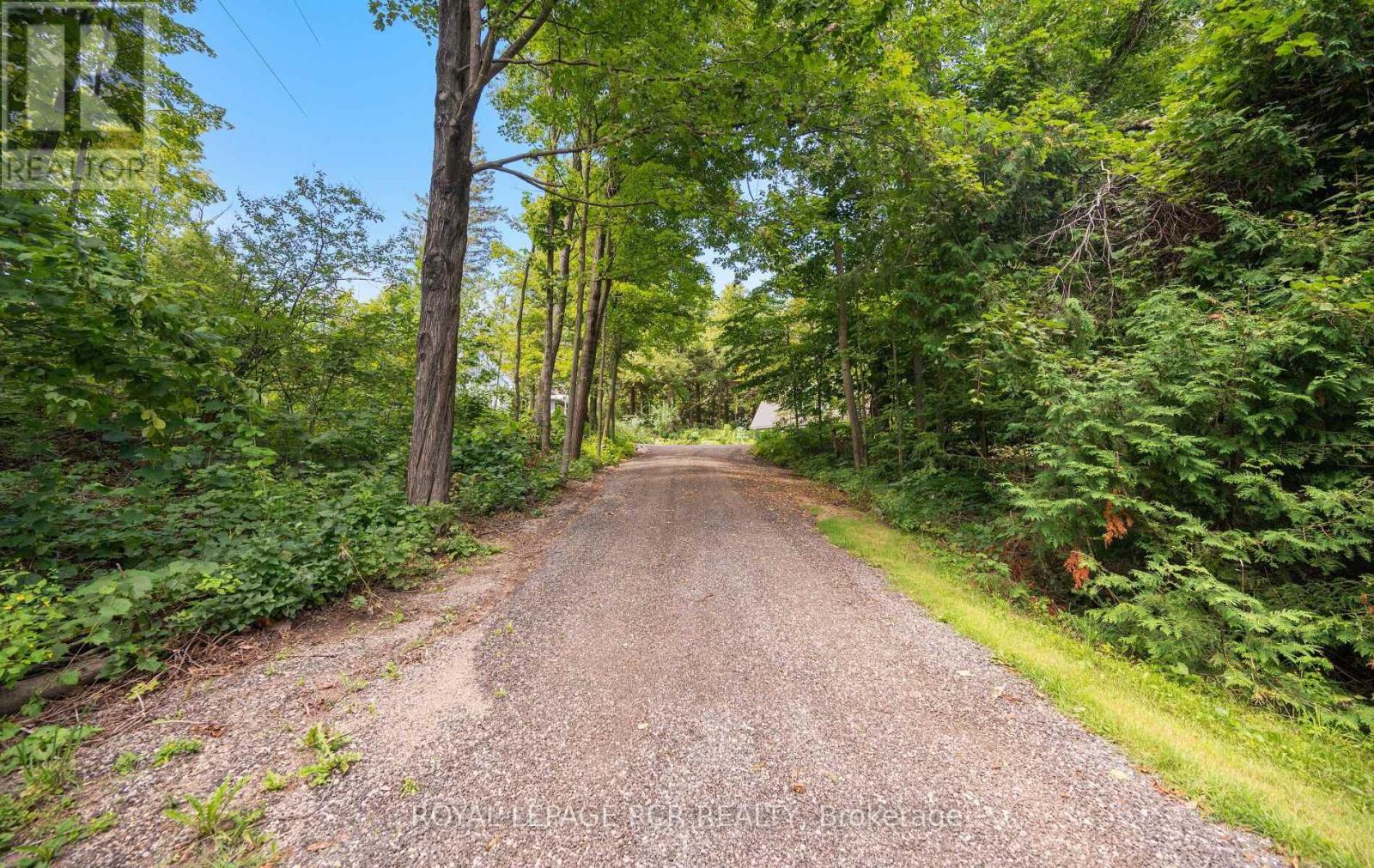 757186 2nd Line E, Mulmur, Ontario L9V 0G7 - Photo 7 - X13717708