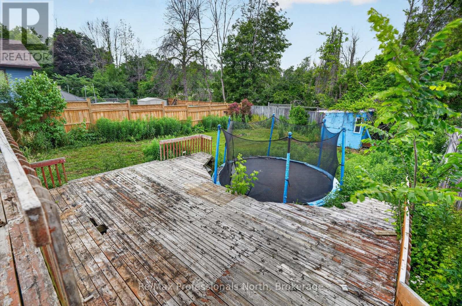 232 Shannon Street, Orillia, Ontario L3V 7B8 - Photo 35 - S13511228