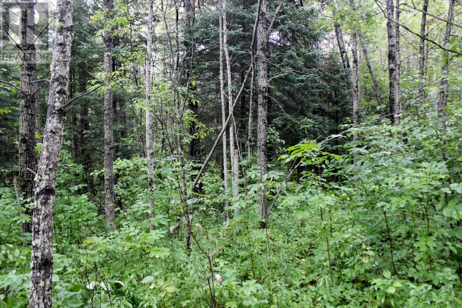 402 Andrews Rd, Stratton, Ontario  P0W 1N0 - Photo 26 - TB2602487
