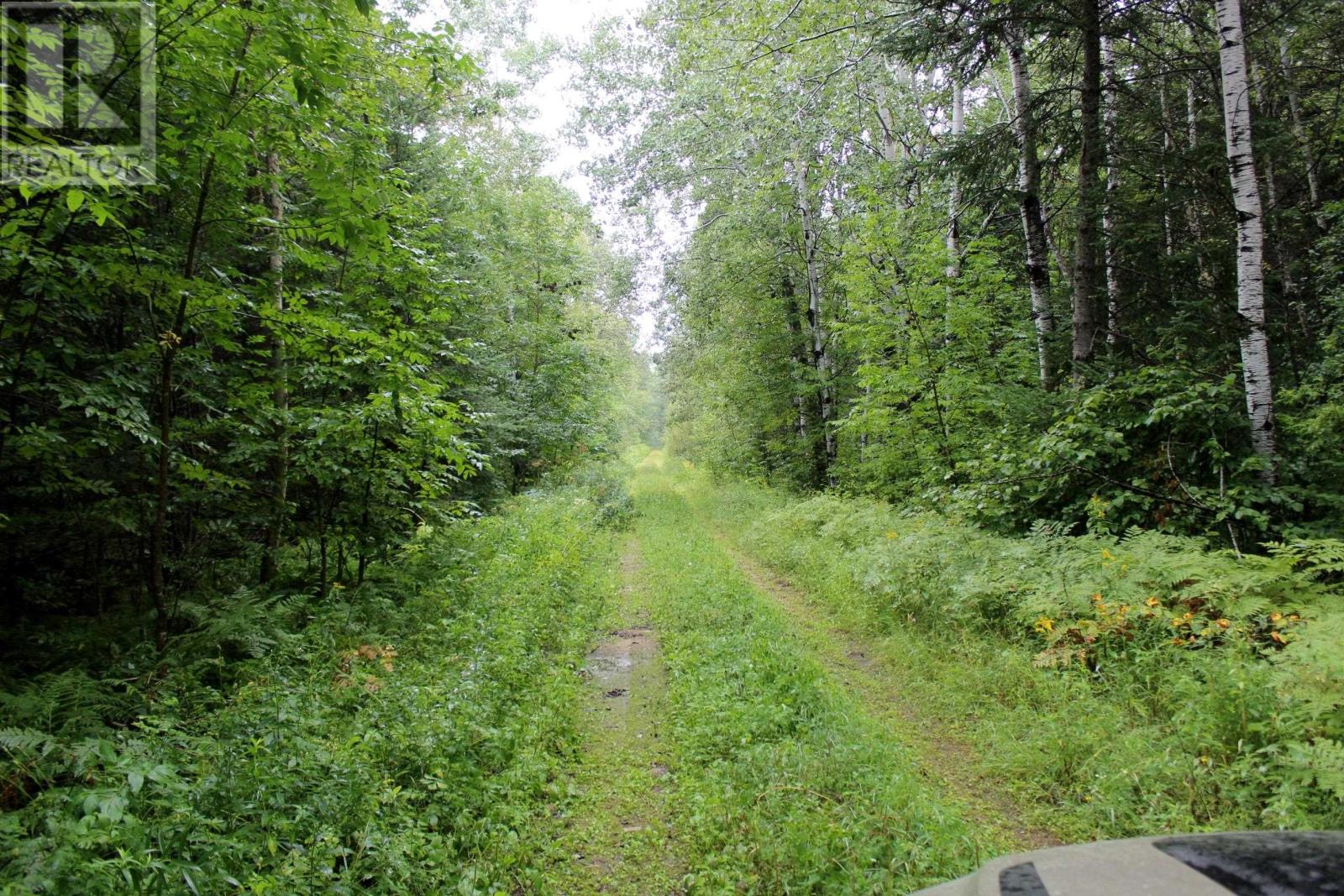 402 Andrews Rd, Stratton, Ontario  P0W 1N0 - Photo 44 - TB2602487