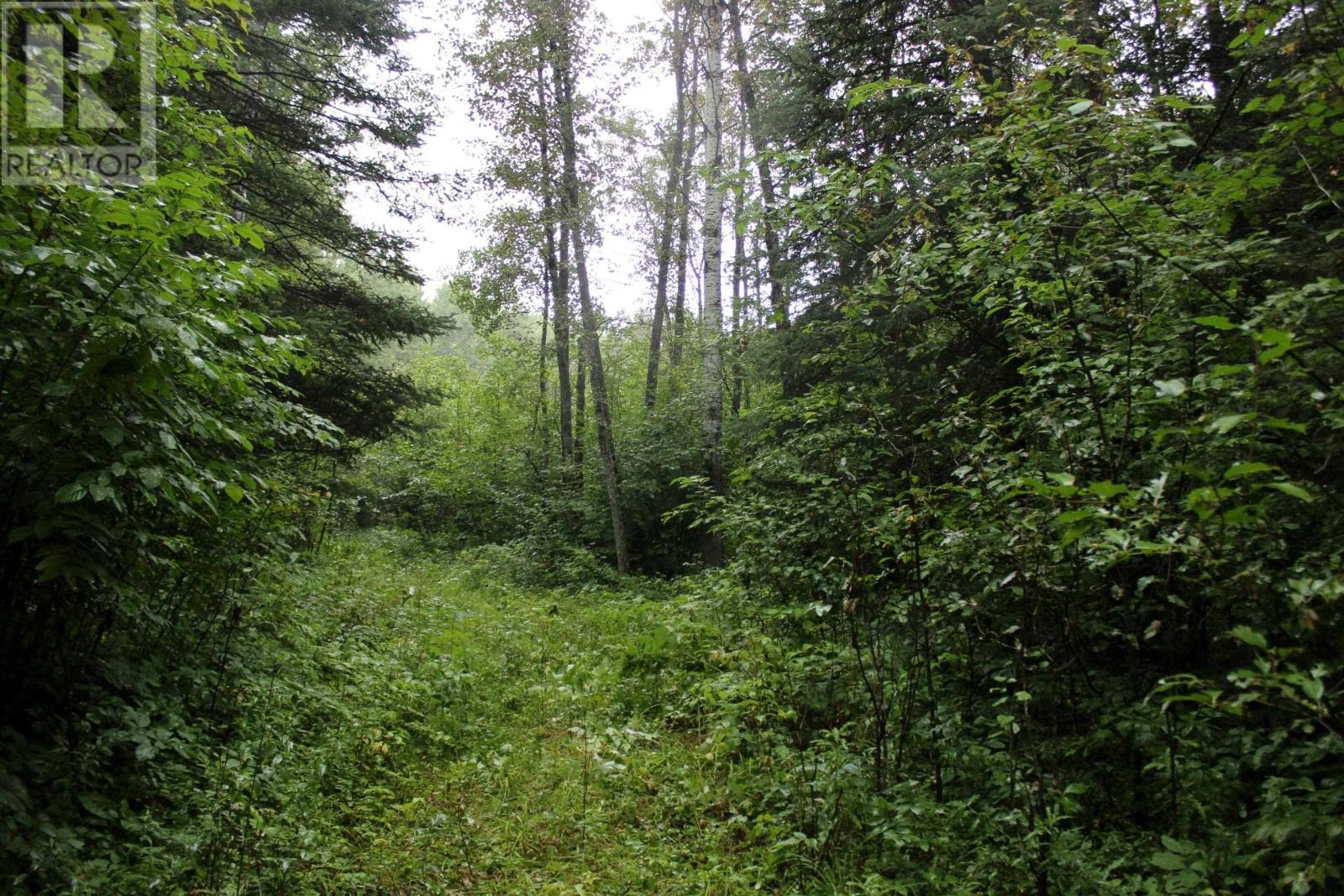 402 Andrews Rd, Stratton, Ontario  P0W 1N0 - Photo 24 - TB2602487