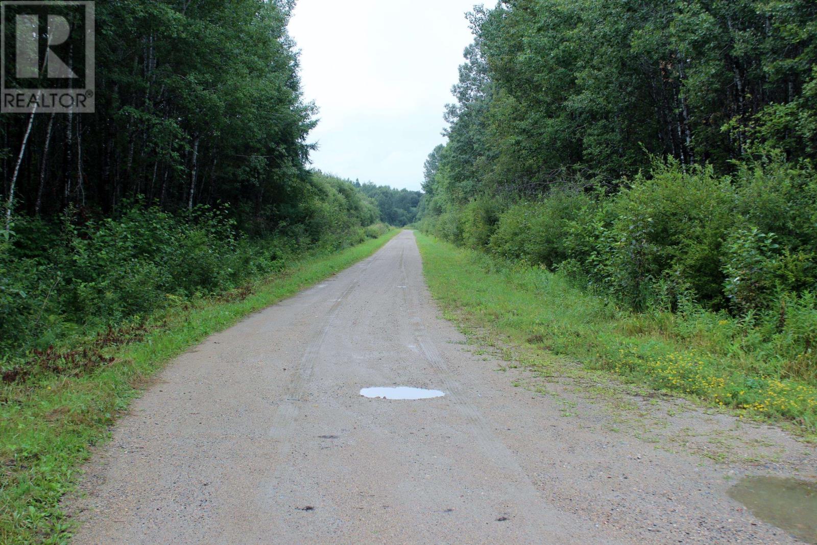 402 Andrews Rd, Stratton, Ontario  P0W 1N0 - Photo 50 - TB2602487