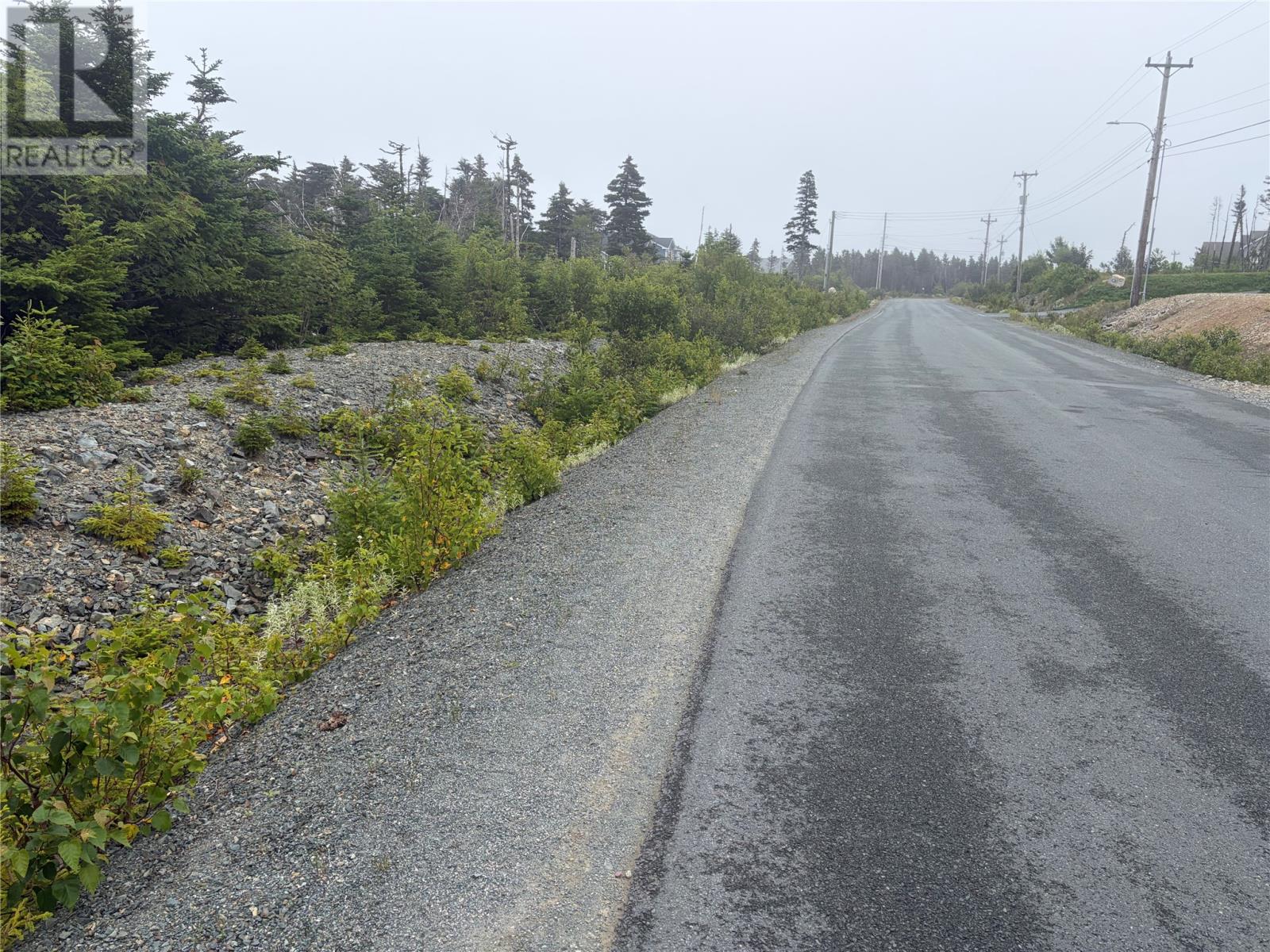 54 Big Meadow Drive, Logy Bay - Middle Cove- Outer Cove, Newfoundland & Labrador  A1K 0N1 - Photo 3 - 1302453