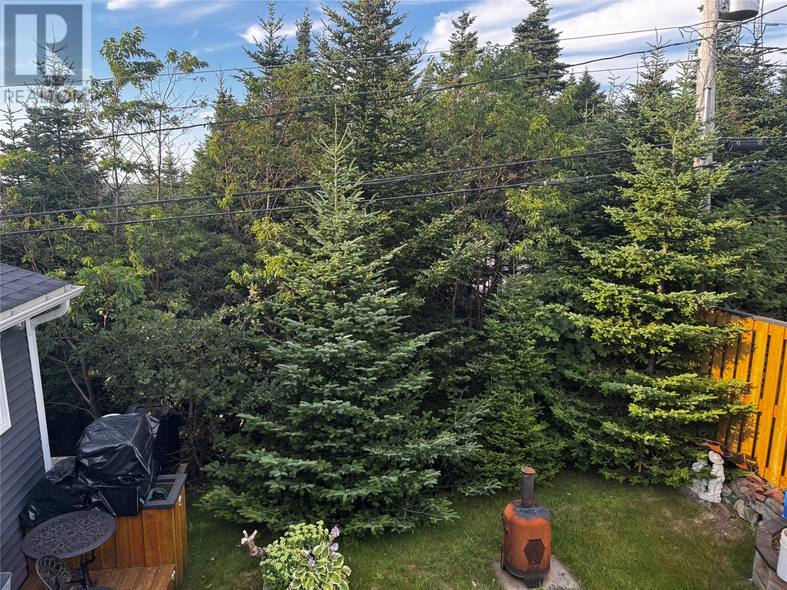 9 Elmcliffe Street, Mount Pearl, Newfoundland & Labrador  A1N 4N8 - Photo 30 - 1302326