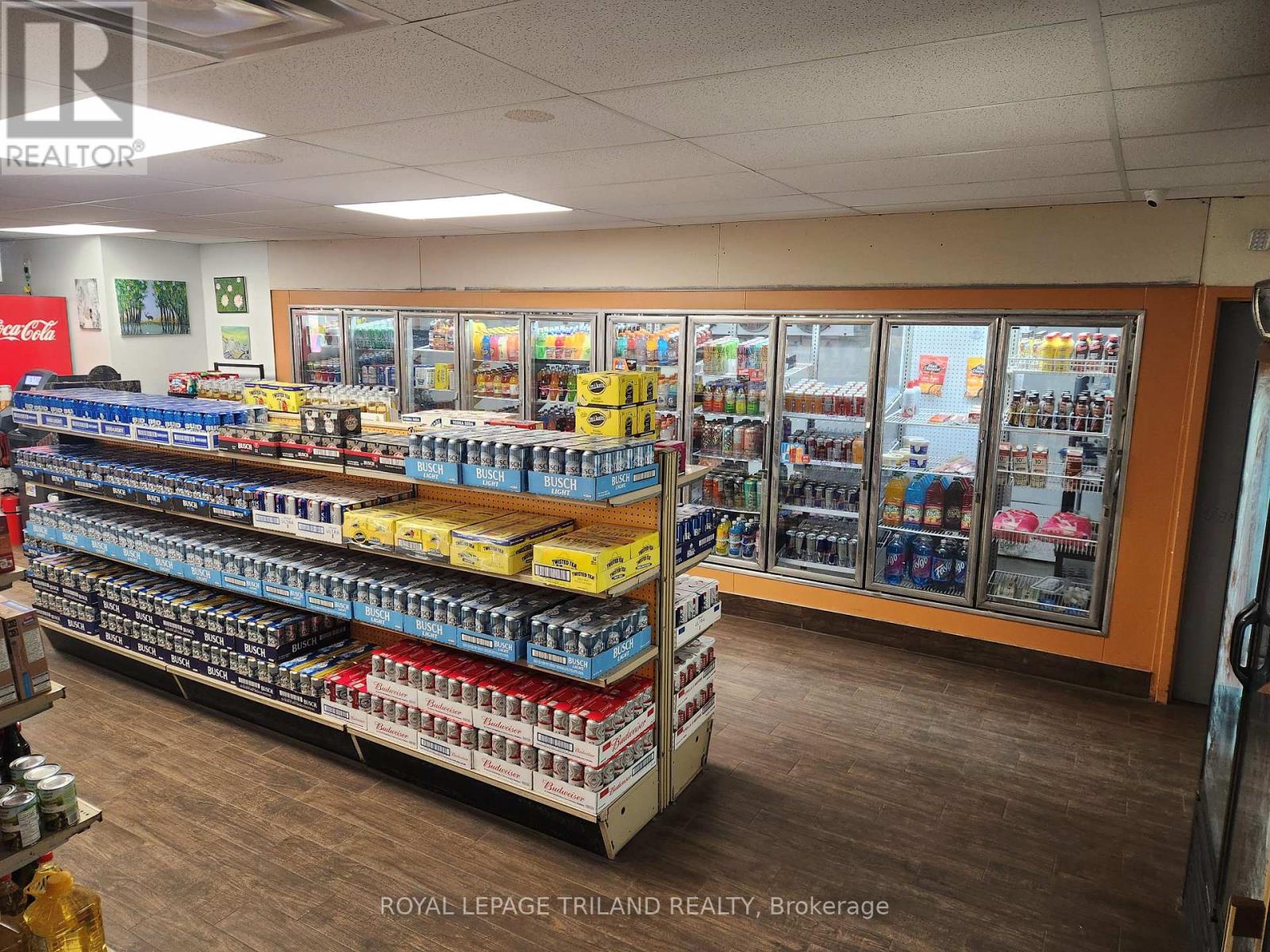 380 Albert Street, Strathroy-Caradoc, Ontario  N7G 1W7 - Photo 8 - X13717864