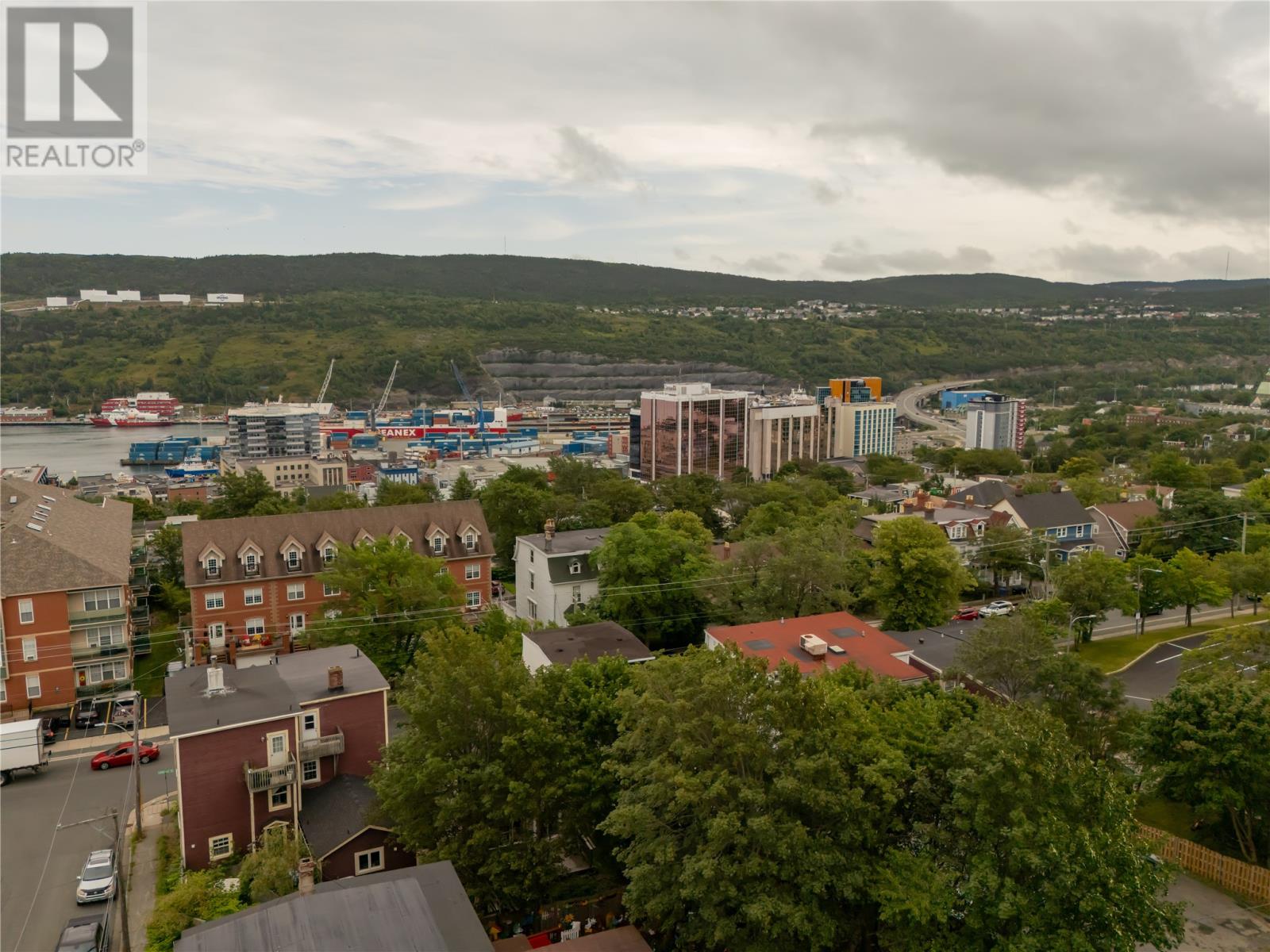 20 Boncloddy Street, St. John's, Newfoundland & Labrador  A1C 4J1 - Photo 29 - 1302454