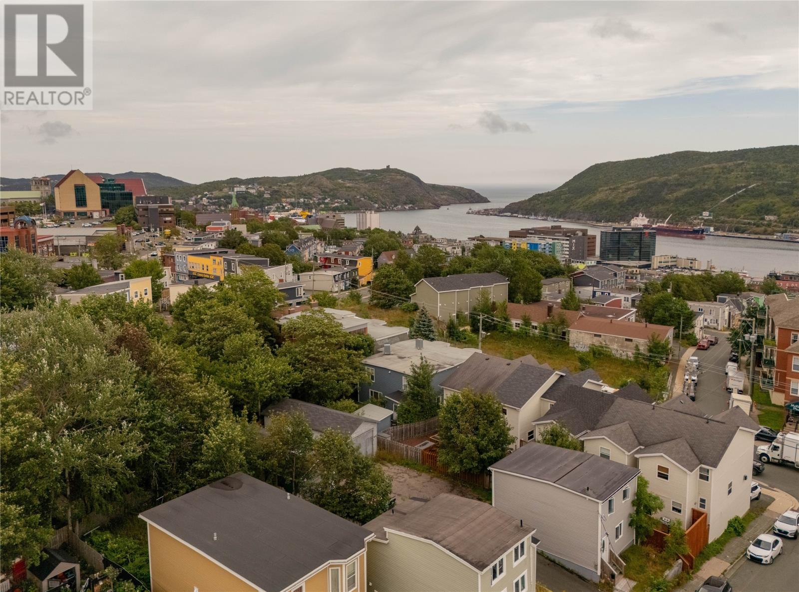 20 Boncloddy Street, St. John's, Newfoundland & Labrador  A1C 4J1 - Photo 3 - 1302454