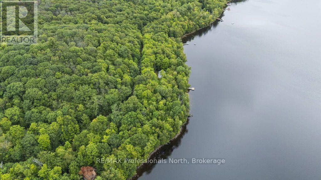 Tbd Spruce Lake Trail, Dysart Et Al, Ontario K0M 1S0 - Photo 13 - X13718264