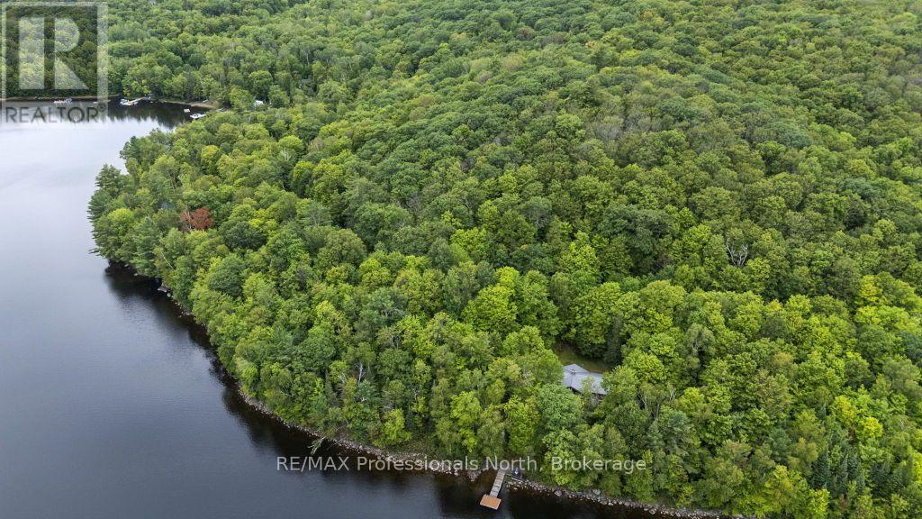 Tbd Spruce Lake Trail, Dysart Et Al, Ontario K0M 1S0 - Photo 18 - X13718264