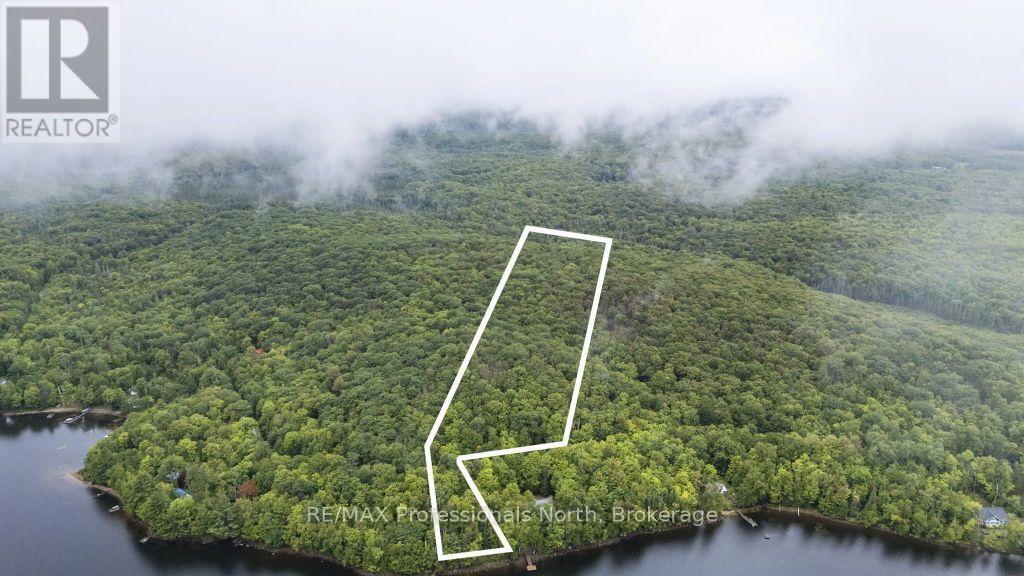 Tbd Spruce Lake Trail, Dysart Et Al, Ontario K0M 1S0 - Photo 19 - X13718264