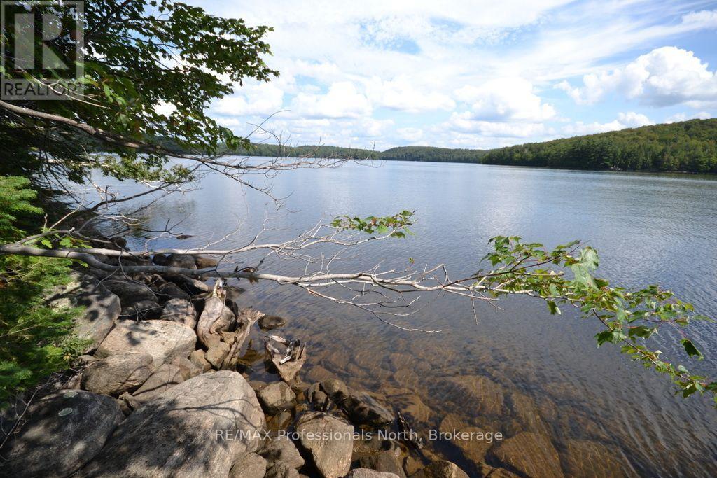 Tbd Spruce Lake Trail, Dysart Et Al, Ontario K0M 1S0 - Photo 8 - X13718264