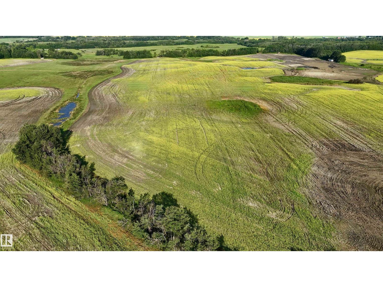 51421 Rr 233, Rural Strathcona County, Alberta  T8B 1L1 - Photo 19 - E4498603