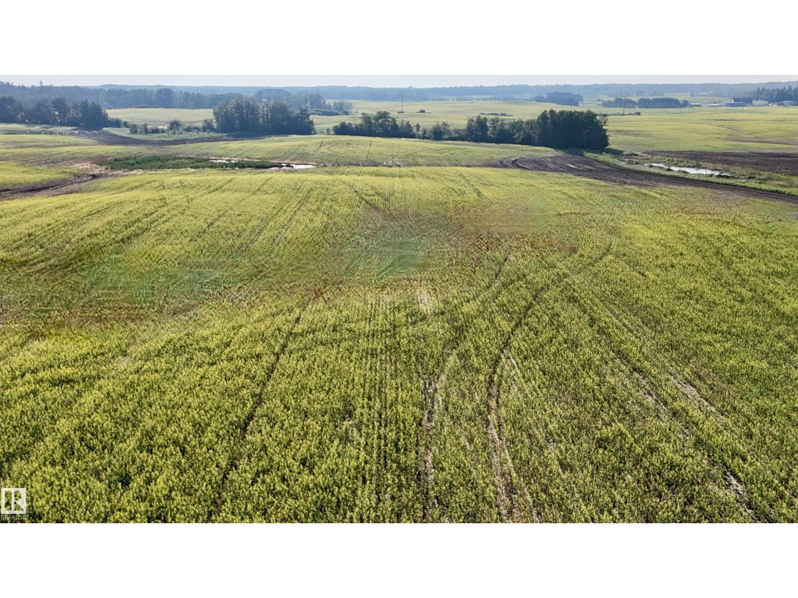 51421 Rr 233, Rural Strathcona County, Alberta  T8B 1L1 - Photo 6 - E4498603