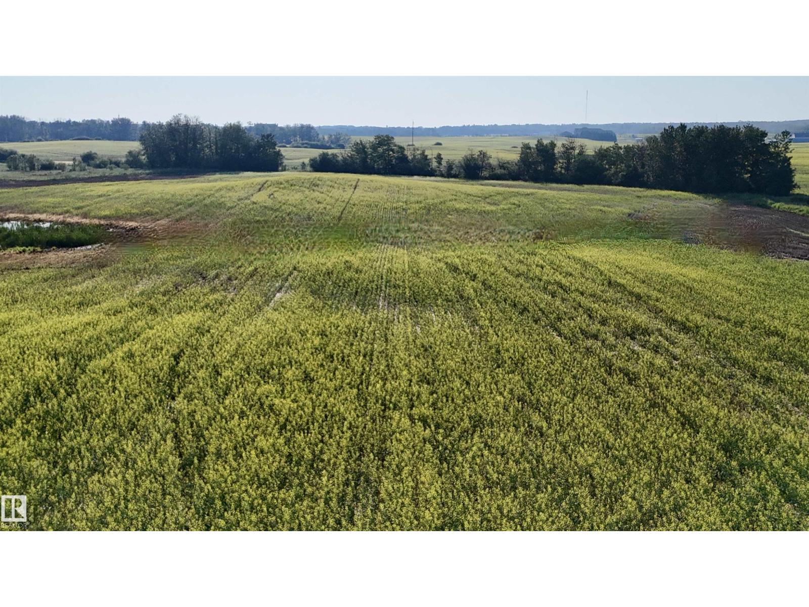 51421 Rr 233, Rural Strathcona County, Alberta  T8B 1L1 - Photo 7 - E4498603