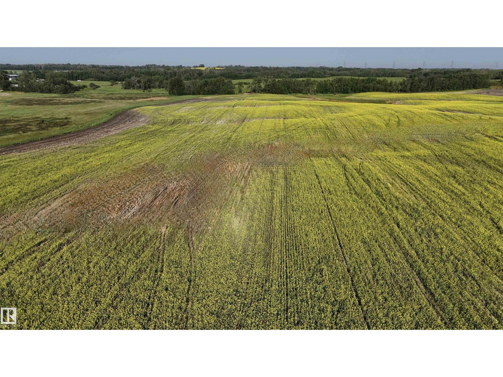 51421 Rr 233, Rural Strathcona County, Alberta  T8B 1L1 - Photo 34 - E4498603