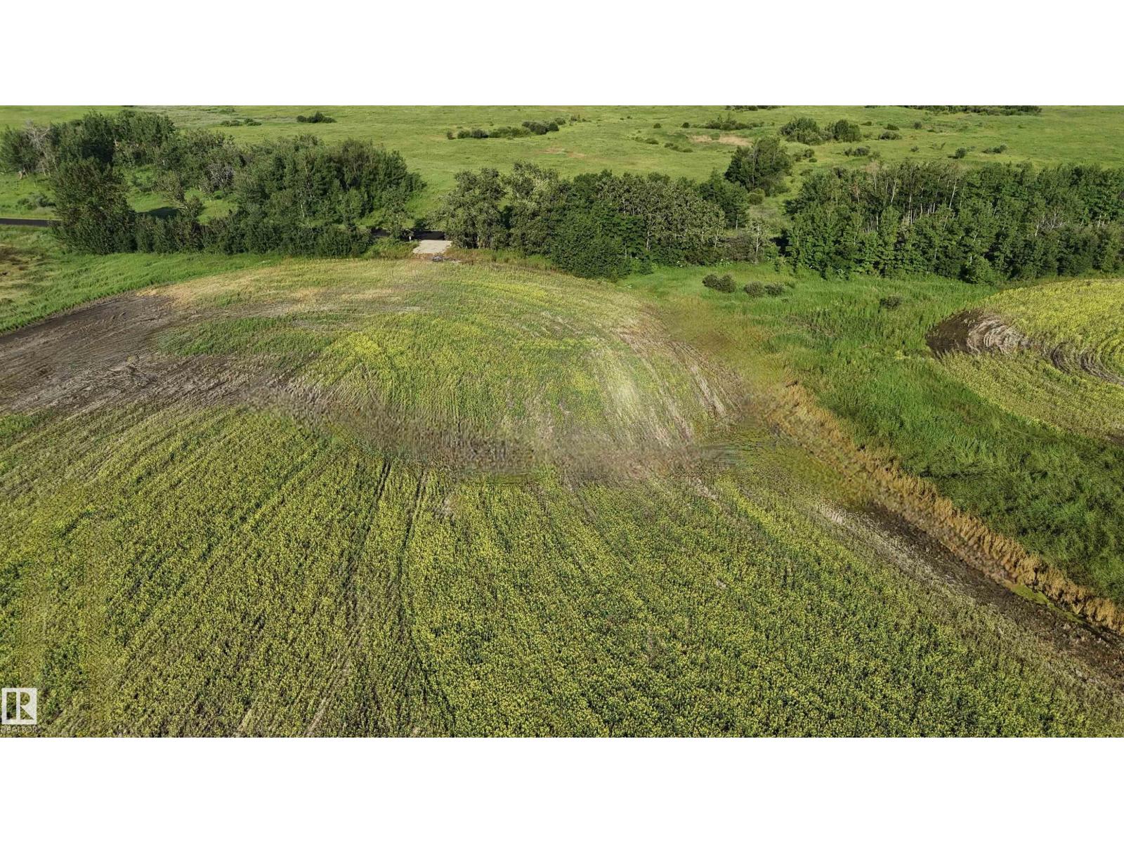 51421 Rr 233, Rural Strathcona County, Alberta  T8B 1L1 - Photo 44 - E4498603